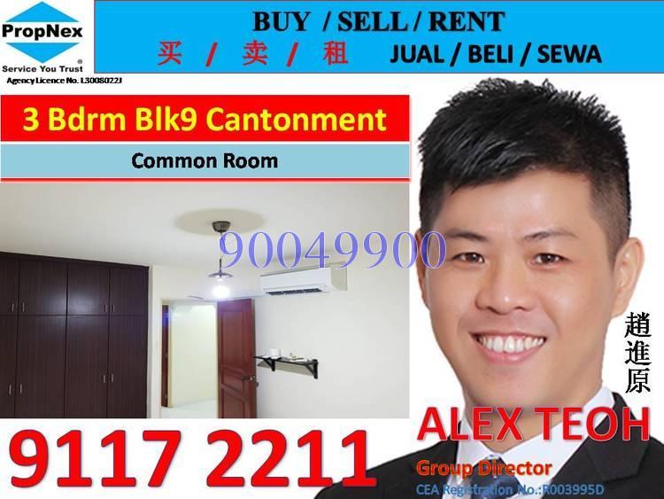 Blk 9 Cantonment Close (Bukit Merah), HDB 4 Rooms #163571092